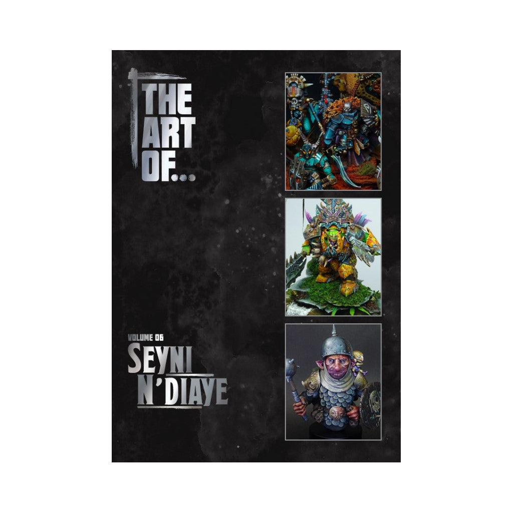 The Art of Seyni N'Diaye