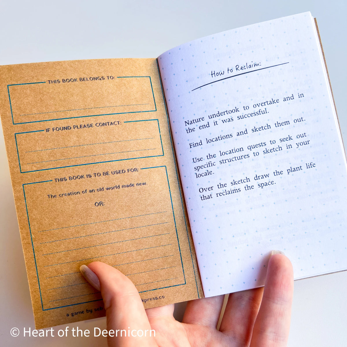Strollplaying Field Notes