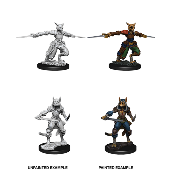 Female Tabaxi Rogue