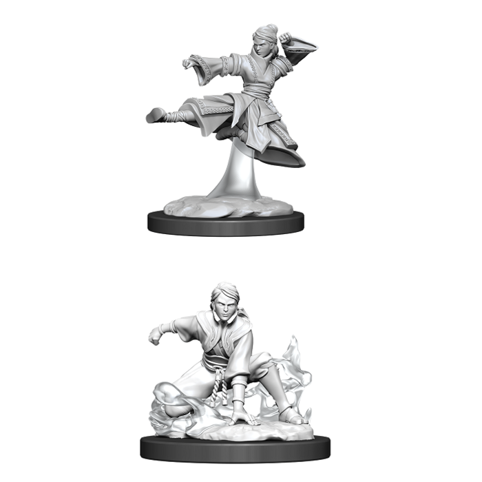 Nolzur's Marvelous Miniatures: Human Monk Female