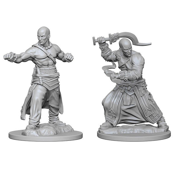 Pathfinder Deep Cuts Miniatures: Human Monk Male