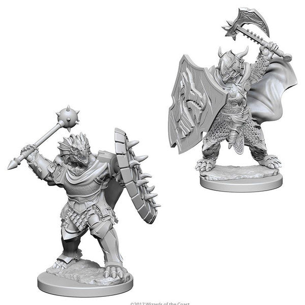 Nolzur’s Marvelous Miniatures: Dragonborn Paladin Male
