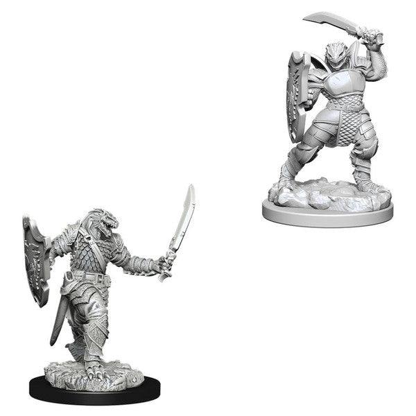 Nolzur’s Marvelous Miniatures: Dragonborn Paladin Female