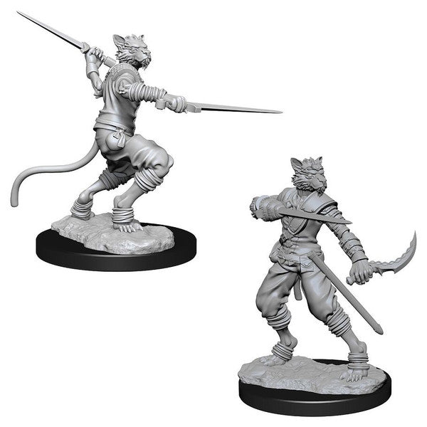 D&D: Nolzur's Marvelous Minis: Male Tabaxi Rogue W7