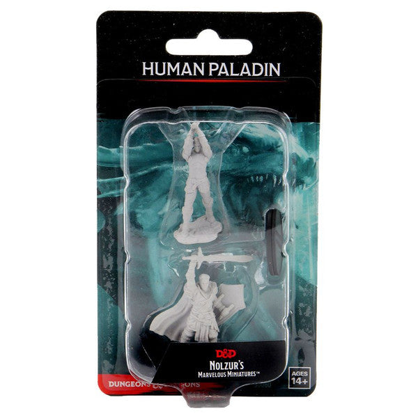 Human Paladin Male